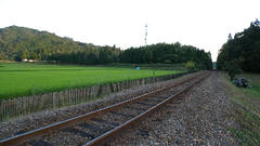 DSCN9333.jpg