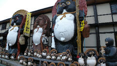 DSCN9334.jpg