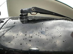 DSCN9491.jpg