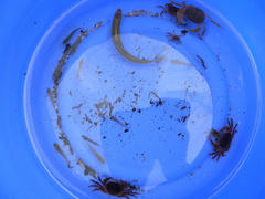 DSCN9507.jpg
