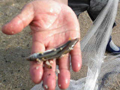 DSCN0445.JPG