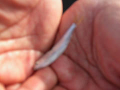 DSCN0450.JPG