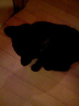 090416_233031.JPG