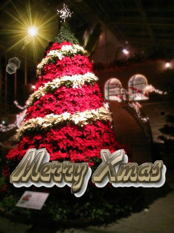 xmas