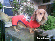 blog29.gif