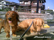 blog32.gif