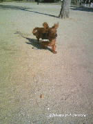 blog33.gif