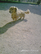 blog34.gif
