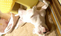 PA0_0315.jpg