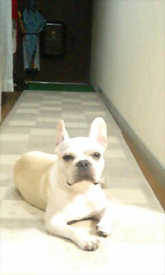 PA0_0308.jpg