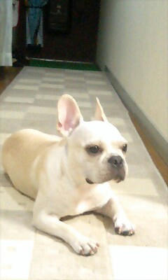PA0_0307.jpg