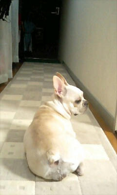 PA0_0306.jpg