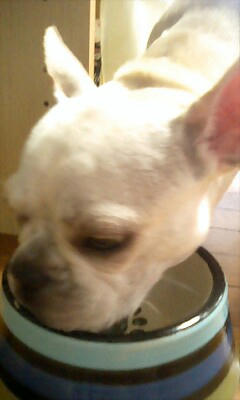 PA0_0344.jpg