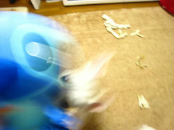 0094d2d5.jpg