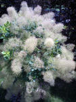 CA380333.jpg