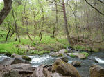P1000178.JPG