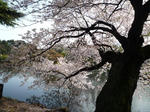 P1010585.JPG