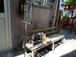 P1010586.JPG