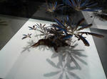 P1010500.JPG