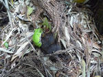 P1020155.JPG
