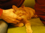 IMGP0532.JPG