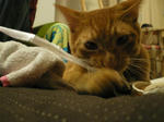 IMGP0551.JPG