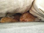 IMGP0555.JPG