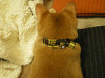 IMGP0562.JPG
