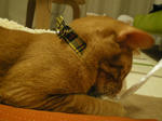 IMGP0565.JPG