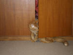IMGP0566.JPG