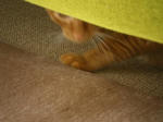 IMGP0567.JPG