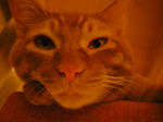 IMGP0604.JPG