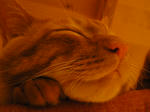 IMGP0610.JPG