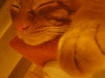 IMGP0611.JPG