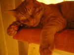 IMGP0616.JPG