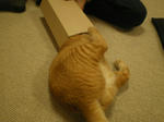 IMGP0634.JPG