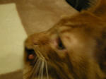 IMGP0620.JPG