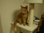 IMGP0591.JPG