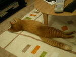 IMGP0643.JPG