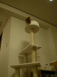 IMGP0623.jpg