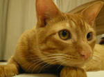 IMGP0647.JPG
