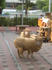 CA7TK802.jpg