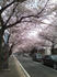 SN3F0027.JPG