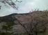 SN3F0037.JPG