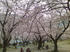 SN3F0040.JPG