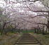SN3F0042.JPG