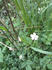 SN3F0049.JPG