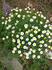 SN3F0073.JPG