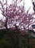 SN3F0075.JPG