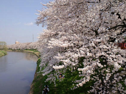 c1339577.jpg